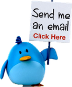 Send an e-mail to the web master